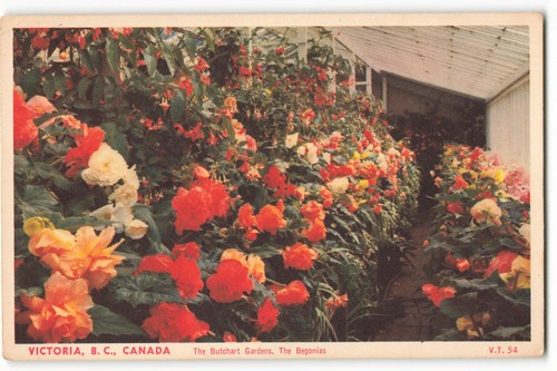 The butchart gardens - the,